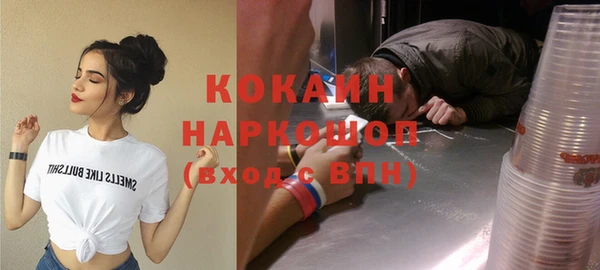 гидра Корсаков