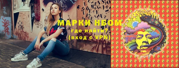 прущие грибы Алексеевка
