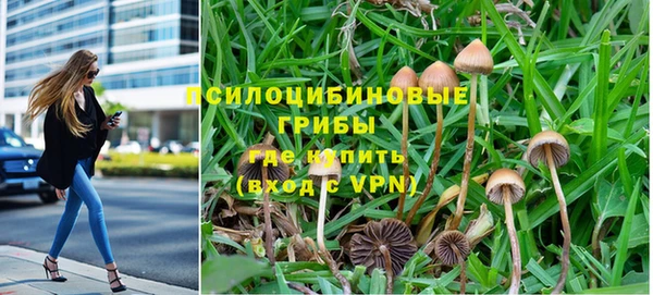 шишки Абинск